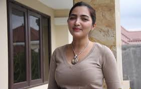 Hasil gambar untuk wiwid gunawan hot