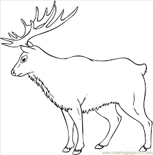 Here are some free printable elk coloring pages. 43 How To Draw An Elk Step 7 Coloring Page For Kids Free Mouse Printable Coloring Pages Online For Kids Coloringpages101 Com Coloring Pages For Kids