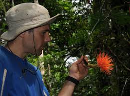 How can prey kill predators?