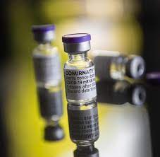 Updated information about the thermal shipper. Biontech Pfizer Und Moderna Eu Muss Mehr Fur Corona Impfstoffe Zahlen Welt