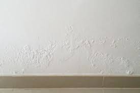 Damp and mould can appear on the internal walls, and the causes of damp on internal walls are always different. Damp Problems Causes Solutions Prices And Advise
