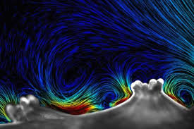 Image result for organisms and their environment