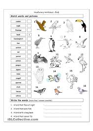 Vocabulary Matching Worksheet Birds Animal Worksheets Vocabulary Worksheets Matching Worksheets