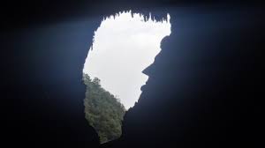 Taman negara is a national park in peninsular malaysia. Gunung Mulu World Heritage Site Pictures Info And Travel Reports