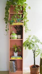 Just Peachy Latonya Yvette Plant Decor Indoor Plant Decor Natural Home Decor