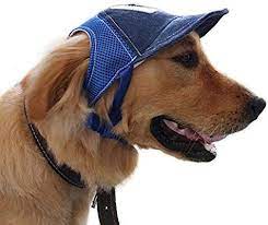 Amazon Com Pet Dog Baseball Cap Sport Cap Hat Outdoor Hat Sun Protection Summer Cap For Small Medium Large Dog Outdoor Hats Sun Protection Hat Sports Caps