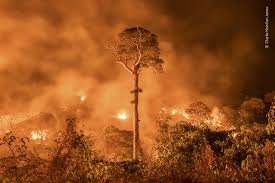 Lo que no comprendemos es por qué dios permite que ocurran. 76 Fotos De Desastres Naturales