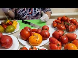 юлия миняева во саду ли в огороде новое 2019 Moi Lyubimye Tomaty Obzor Tomatov Degustiruem Smotrim V Razreze Youtube