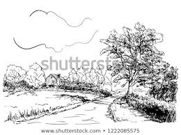 Black And White Road Drawing Sketch Of Countryside Landscape With House Road And Big Oak Tree Hand Drawn Vector Illustration Countryside Landscape Nature Sketch Forest Landscape