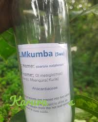 Image result for Searsia natalensis