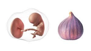 Jul 06, 2021 · most pregnancies last around 40 weeks (or 38 weeks from conception), so typically the best way to estimate your due date is to count 40 weeks, or 280 days, from the first day of your last menstrual period (lmp). Due Date Calculator How Many Weeks Am I Pregnant