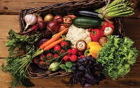 We did not find results for: Nmsu Home Vegetable Gardening In New Mexico