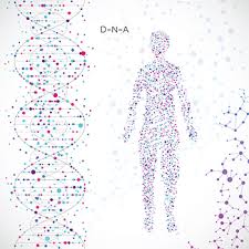 These mutations are the most common ones found in cancer. Hereditary Cancer Syndromes Ucla Cancer Genetics Los Angeles Ca