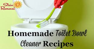 Plus the borax and vinegar never mixed real well and separated if i let it sit for more than a minute. Homemade Toilet Bowl Cleaner Recipes And Home Remedies