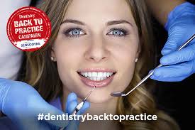 Daryl Schneider Archives