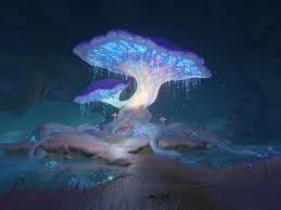 Image result for Chascanum