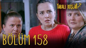 Yarali Kuslar 158 Bolum Youtube