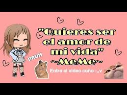 Quieres Ser El Amor De Mi Vida Meme Youtube