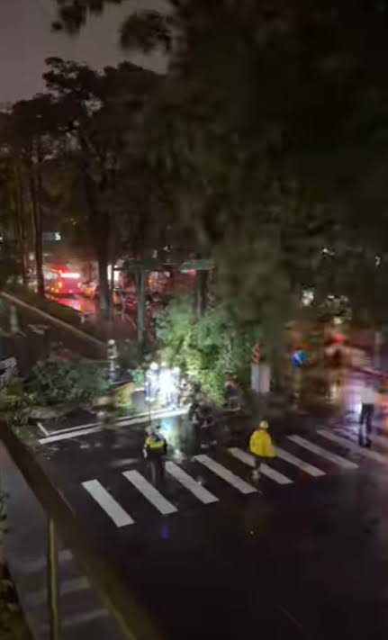颱風薔琵侵襲台北多處路樹傾倒(圖)