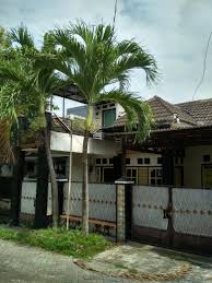 Disini tempatnya harga murah dan strategis. Kavling Sidoarjo 2018 Kavling Sidoarjo 2017 Kavling Sidoarjo Olx Kavling Sidoarjo Jualo Kavling Sidoarjo Urbanindo Kavling Sidoarjo Kredit 2018 Tanah Kavling Si