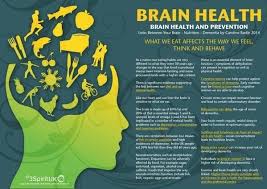 Pin On Brain Food