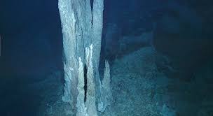 We did not find results for: Kehidupan Dimulai Dari Dasar Laut