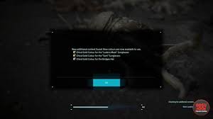 Custom steelbook that includes the game; Death Stranding Pre Order Gold Hat Sunglasses Speed Skeleton Location