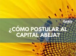 Directorio sercotec en centros de negocios sesión de especialistas que ayudan al emprendedor a reenfocar su negocio o copyright 2021 sercotec.todos los derechos reservados. Como Postular Al Capital Abeja Requisitos Y Postulaciones Rankia