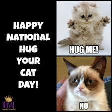 Royal Social Media National Hug Your Cat Day Hug Your Cat Day Cat Day Grumpy Cat Meme
