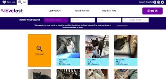 Something extraordinary happens when pets and people connect. La Animal Shelters To Use Facial Recognition Database To Help Reunite Lost Pets With Owners Daily News