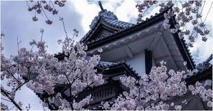 Maybe you would like to learn more about one of these? Musim Sakura Di Korea 2021 Apakah Kamu Akan Melewatkannya