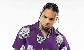 I started a cycle with chris brown much like i did upon seeing all of janet jackson's tours. Chris Brown Net Worth 2021 The Washington Note