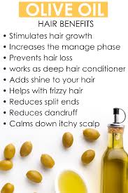 Like coconut oil, olive oil too penetrates the hair shaft and helps the hair retain moisture. Magical Olive Oil Prevent Oily Hair Olive Oil Benefits Castor Oil For Hair
