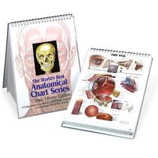 9780960373048 The Worlds Best Anatomical Chart Series A