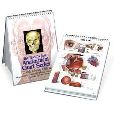 9780960373048 the worlds best anatomical chart series a