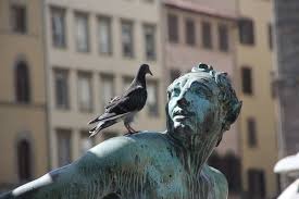 Pigeon fouling is nasty stuff. How To Get Rid Of Pigeons The Primrose Blog
