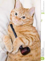Cat And Pipe Stock Photo Image Of Tobacco Sadness Kitten 611408