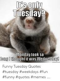 The working week has just begun, but you wanna know what do we mean under this something? 25 Best Memes About Funny Tuesday Quotes Funny Tuesday Quotes Memes