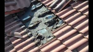 Fledermause Unterm Dach Youtube