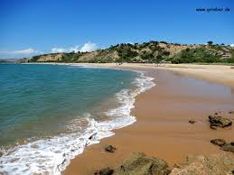 When changing yarns, the amount of yarn might also need. Angola Von Tropischen Stranden Und Trockenen Kustenwusten 23 02 18 03 2018 Grimbers Webseite
