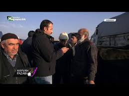 Hayvan Pazari Kirikkale Youtube