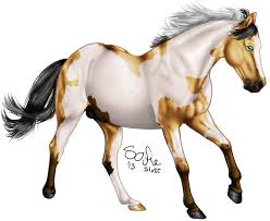 So the color of the horse has nothing to do with what they are. Frame Overo Buckskin Paint Horse By Valhall91 On Deviantart
