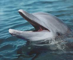 Helmut Horn (German, b. 1940) in United States