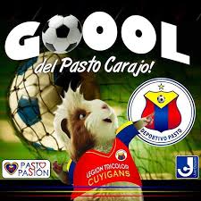 Página de facebook no oficial de deportivo pasto, un equipo profesional que tiene por sede la ciudad de san. 19 Ideas De Deportivo Pasto Deportes Futbol Colombiano Futbol