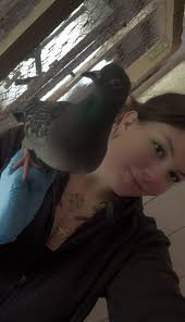 Taubenhilfe Pirmasens e.V...