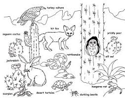 Desert coloring pages are the perfect way to enjoy the plant and animal life of the desert, without having to endure the heat and dryness of the desert! Desert Animals Coloring Pages Deserts Coloring Pages Coloring Pages For Kids And Adults
