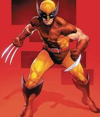 Image result for wolverine