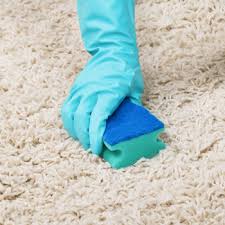 Blotting is better than rubbing as rubbing just rubs it deeper into the shag rug. How To Clean Shag Pile Carpet Rug Doctor