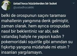 Mahalle Yanarken Orospu Sacini Tararmis Uludag Sozluk