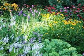 Best Plants For Clay Soil In 2020 Perennial Plants Cool Plants Plants